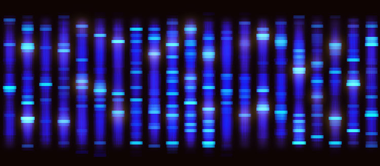 Genomics drives new trait development