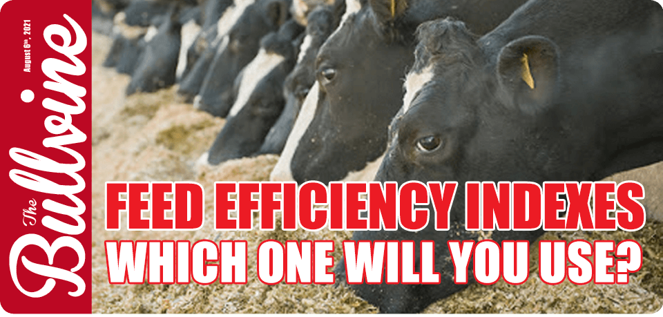 Feed Efficiency Indexes: Which one will you use?