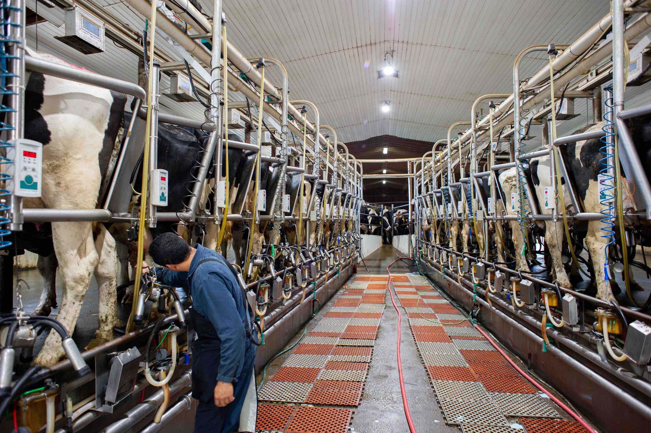 Milking Speed Producer Survey