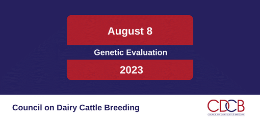 August 2023 Evaluation Changes: What’s New?