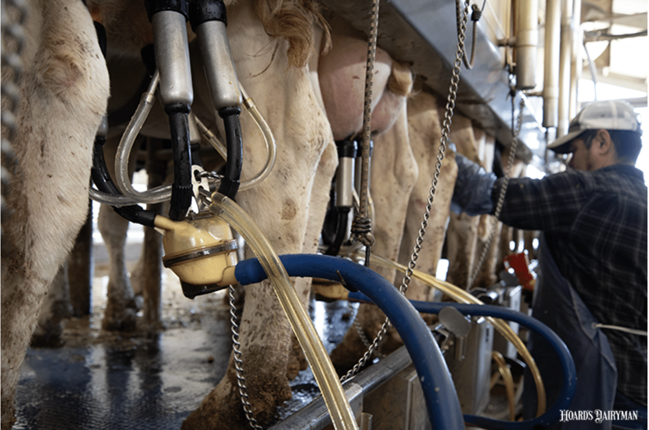 Novel Milking Speed Trait is Highly Heritable