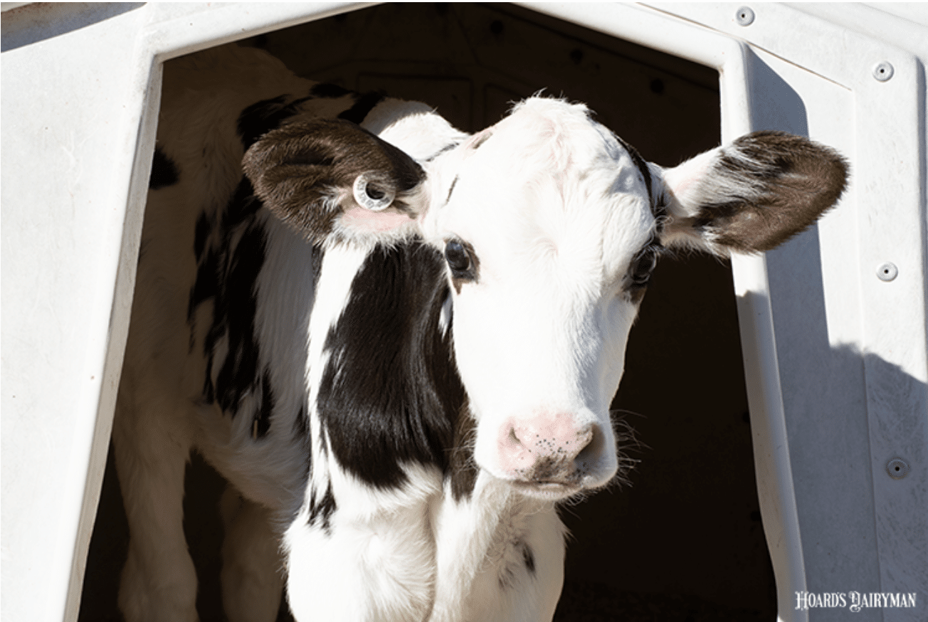 Come Learn About the Newest Genetic Tools