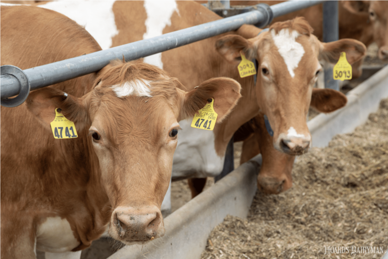 Moving from ME to Average Age