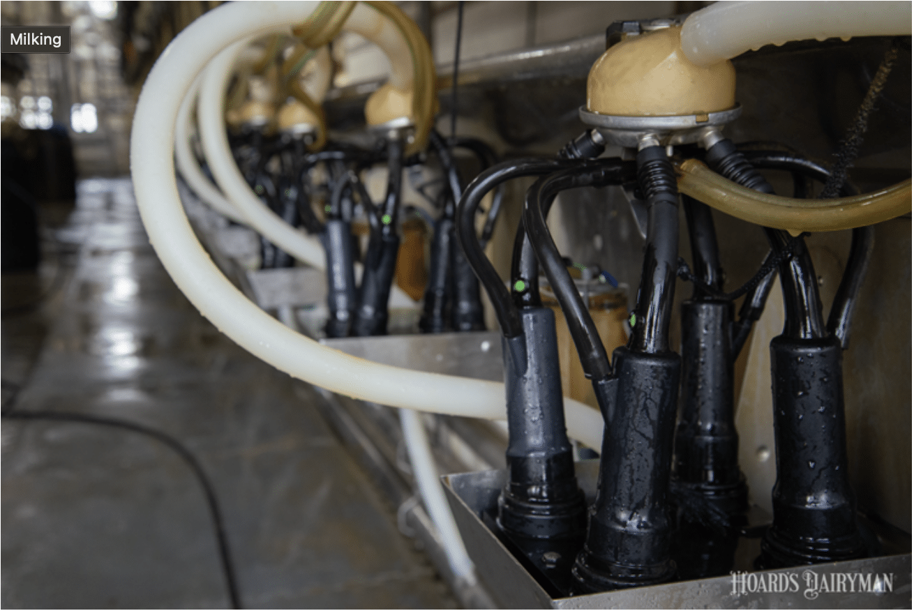 The Value of Individual Cow SCC Data