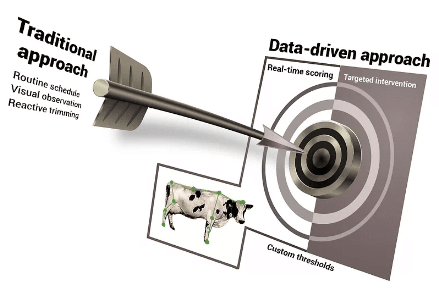 Turning Lameness Data into Measurable ROI