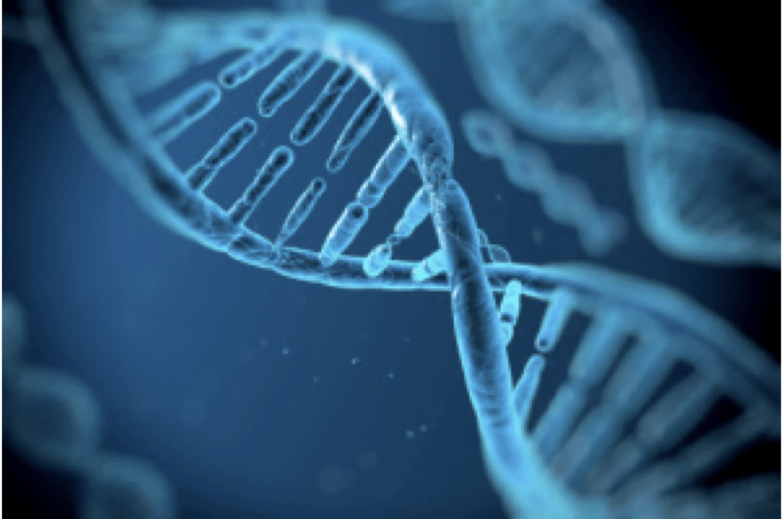 Where Crossbreds Fit in Today’s Genetic Evaluations