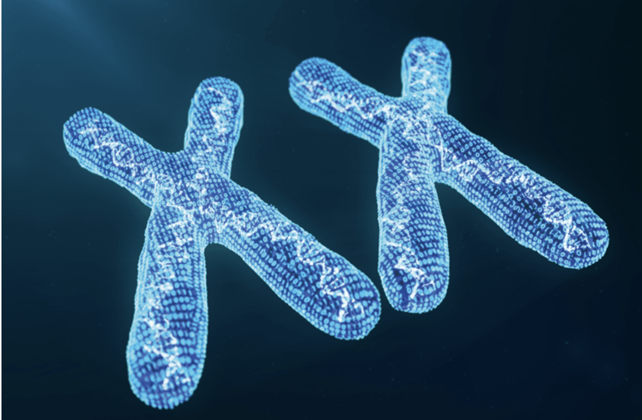 Why Genomic and Pedigree Relationships Differ